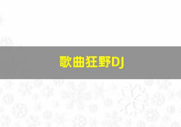 歌曲狂野DJ