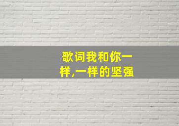 歌词我和你一样,一样的坚强