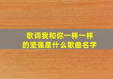 歌词我和你一样一样的坚强是什么歌曲名字