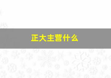 正大主营什么