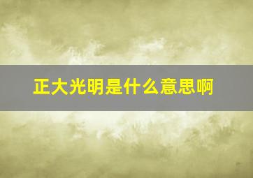 正大光明是什么意思啊