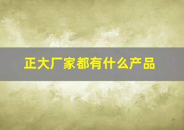 正大厂家都有什么产品