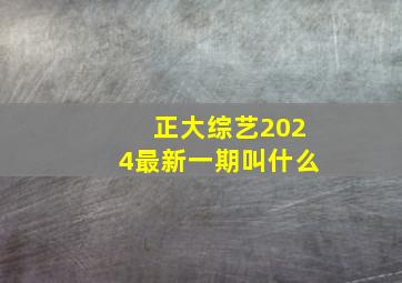 正大综艺2024最新一期叫什么