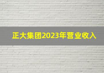 正大集团2023年营业收入