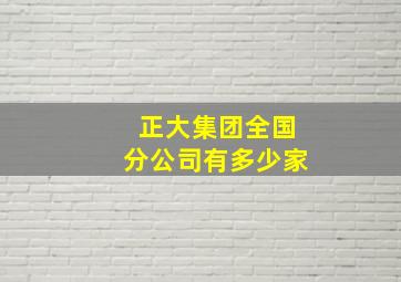 正大集团全国分公司有多少家