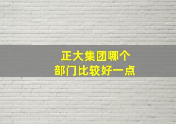 正大集团哪个部门比较好一点