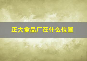 正大食品厂在什么位置