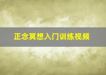 正念冥想入门训练视频