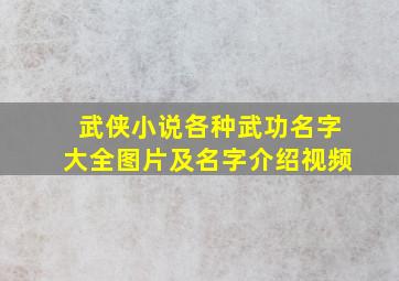 武侠小说各种武功名字大全图片及名字介绍视频