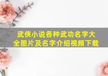 武侠小说各种武功名字大全图片及名字介绍视频下载