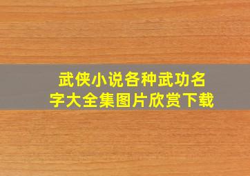 武侠小说各种武功名字大全集图片欣赏下载