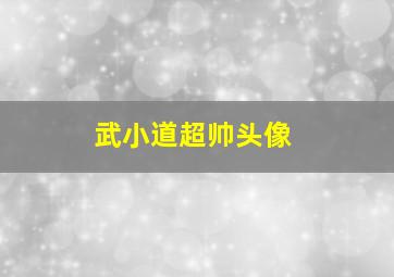 武小道超帅头像