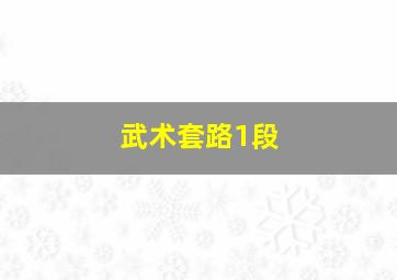 武术套路1段