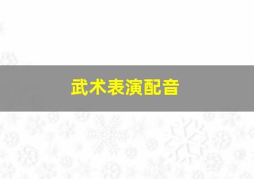 武术表演配音