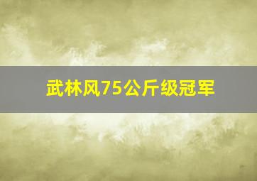 武林风75公斤级冠军