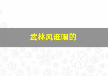 武林风谁唱的