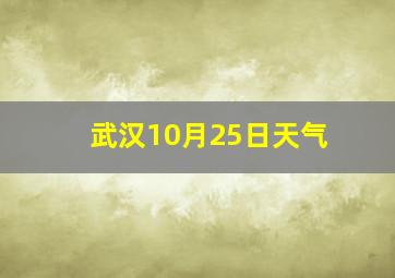 武汉10月25日天气