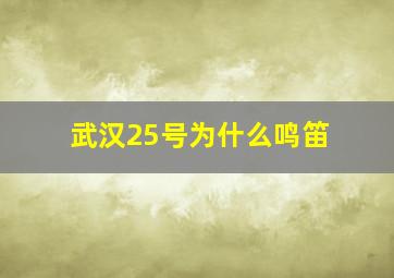 武汉25号为什么鸣笛