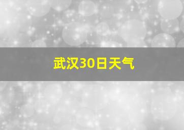 武汉30日天气