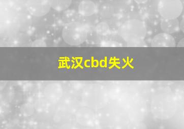 武汉cbd失火