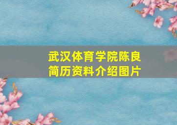 武汉体育学院陈良简历资料介绍图片