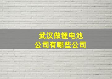 武汉做锂电池公司有哪些公司