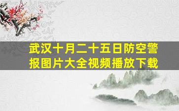 武汉十月二十五日防空警报图片大全视频播放下载