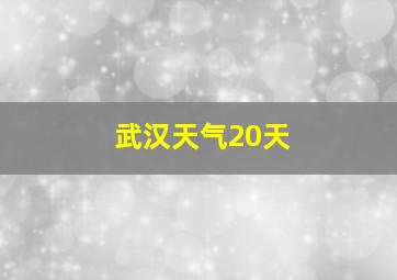 武汉天气20天