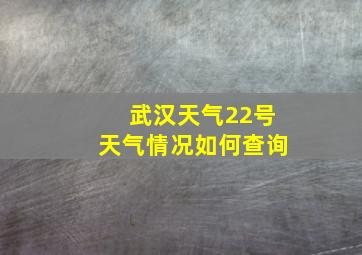 武汉天气22号天气情况如何查询