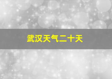 武汉天气二十天