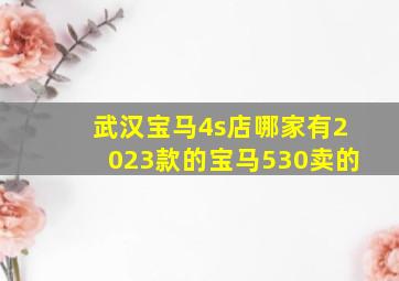 武汉宝马4s店哪家有2023款的宝马530卖的