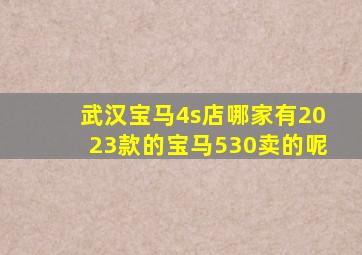 武汉宝马4s店哪家有2023款的宝马530卖的呢