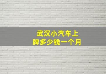 武汉小汽车上牌多少钱一个月