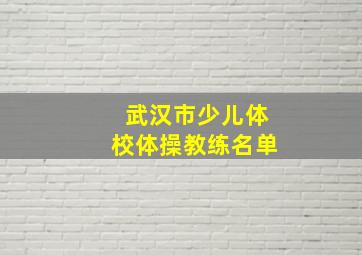 武汉市少儿体校体操教练名单