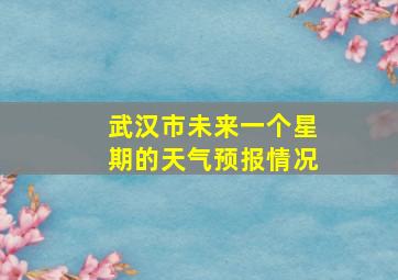 武汉市未来一个星期的天气预报情况