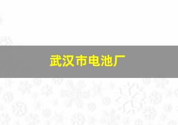 武汉市电池厂