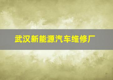 武汉新能源汽车维修厂