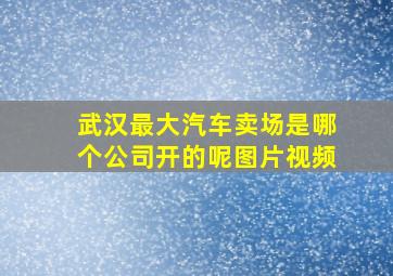 武汉最大汽车卖场是哪个公司开的呢图片视频