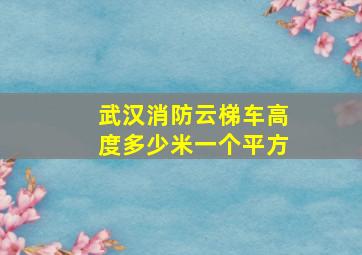 武汉消防云梯车高度多少米一个平方