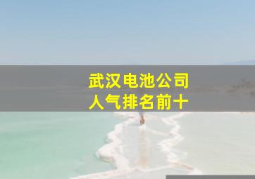 武汉电池公司人气排名前十