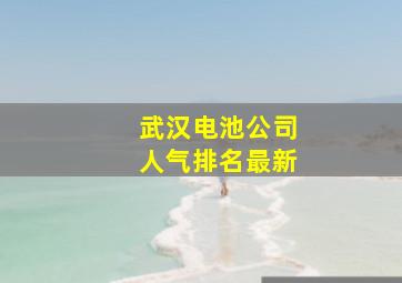 武汉电池公司人气排名最新