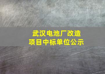 武汉电池厂改造项目中标单位公示