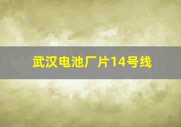 武汉电池厂片14号线