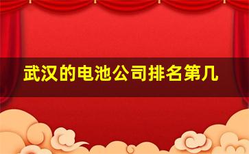 武汉的电池公司排名第几