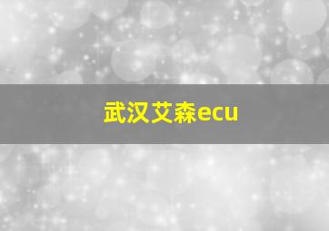 武汉艾森ecu