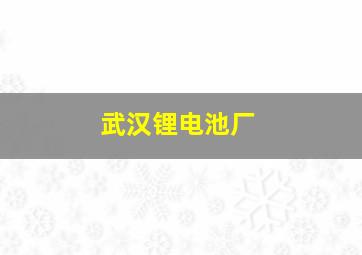 武汉锂电池厂