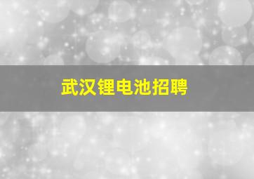 武汉锂电池招聘