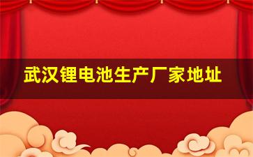 武汉锂电池生产厂家地址