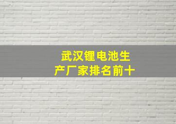 武汉锂电池生产厂家排名前十