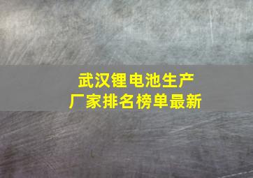 武汉锂电池生产厂家排名榜单最新